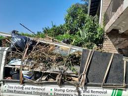 Best Residential Junk Removal  in Graysville, TN